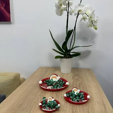 Appartamento Modern Cozy In Tirana